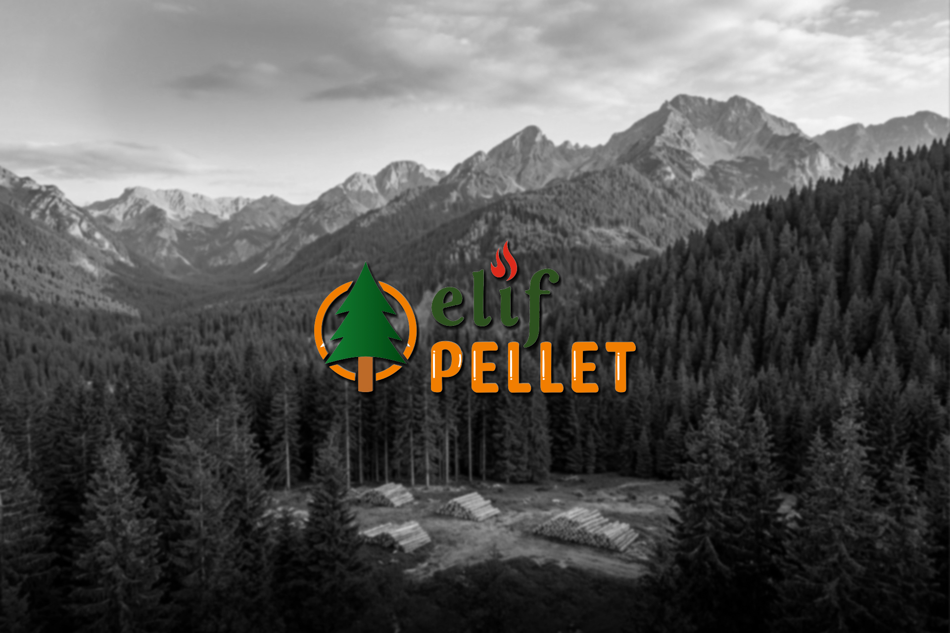 Elif Pelet / Factory Introduction